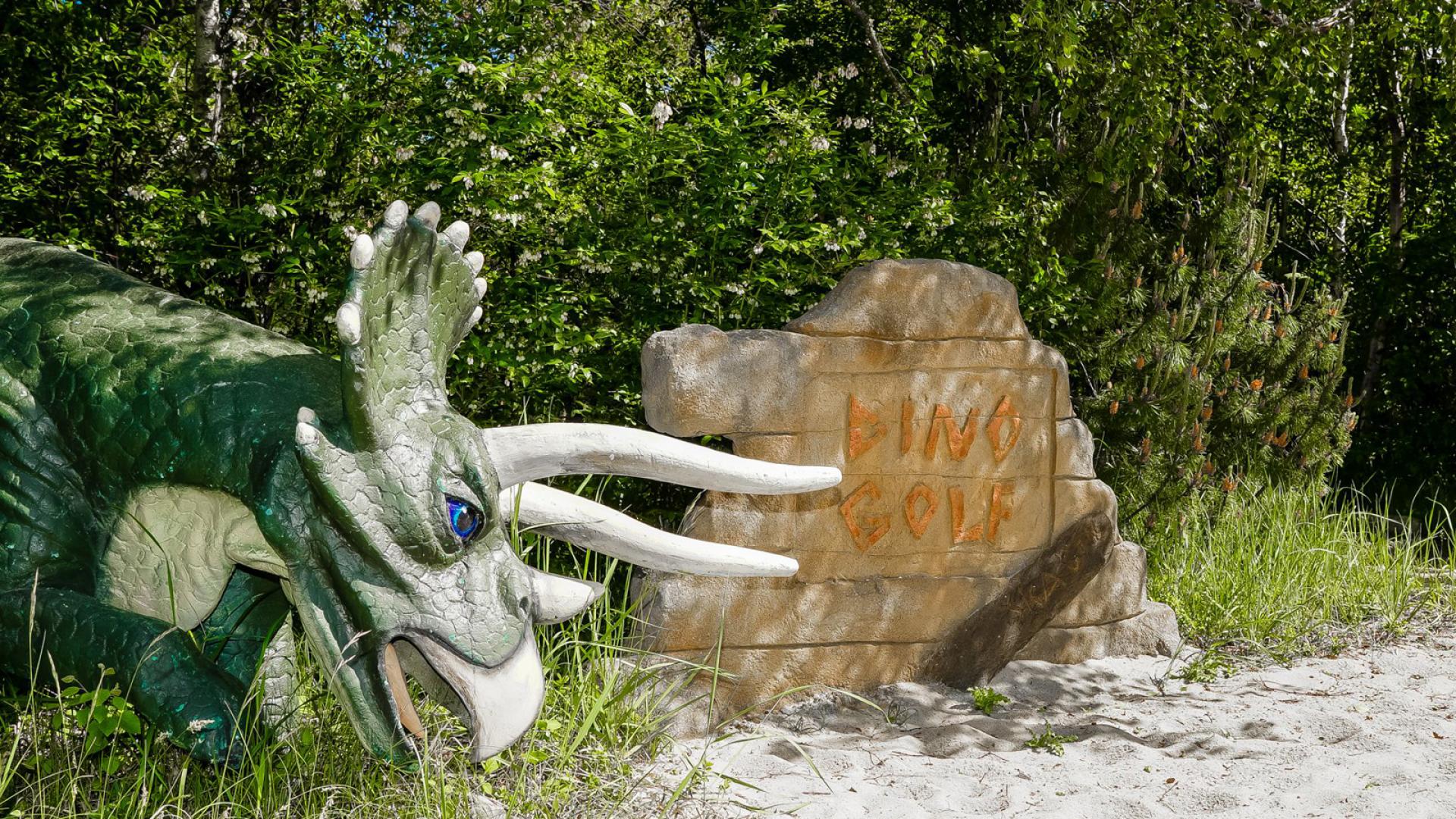 Dino Golf Skagen Minigolf baner dk